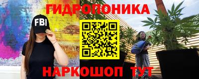 сатива Тара
