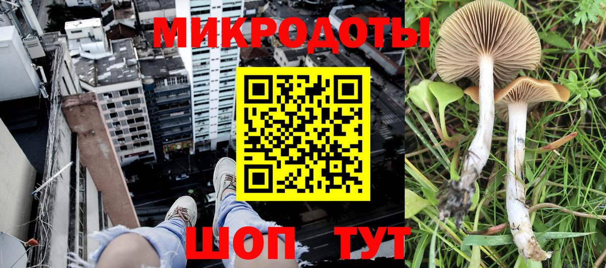Вольск  Псилоцибиновые грибы Magic Shrooms  Вход с VPN 