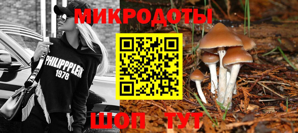 Псилоцибиновые грибы мухоморы Вольск